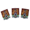 Northampton Town 3 Pack Crest Air Fresheners